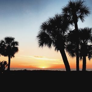 Meet your Posher, Kaitlin